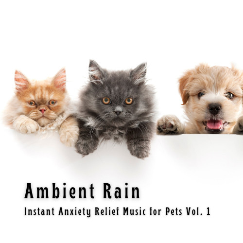 Ambient Rain: Instant Anxiety Relief Music for Pets Vol. 1