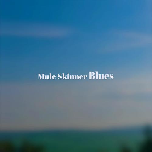 Mule Skinner Blues