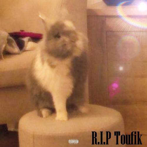 R.I.P Toufik (feat. Toufik)