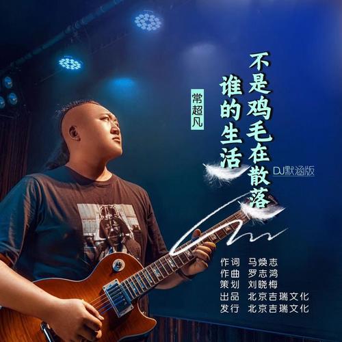 谁的生活不是鸡毛在散落（DJ默涵版）