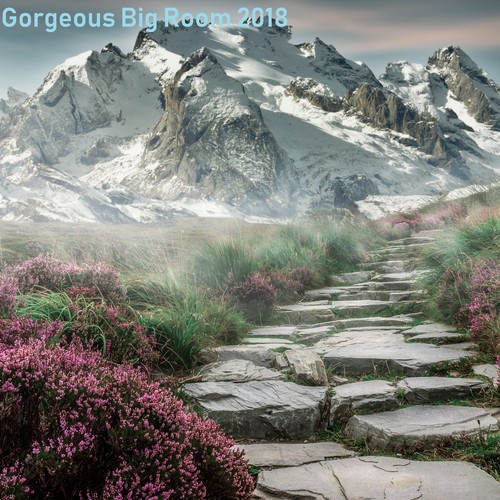 Gorgeous Big Room 2018 Pt.005