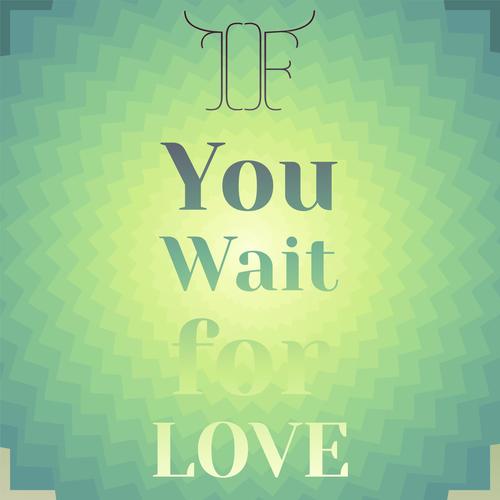 If You Wait for Love