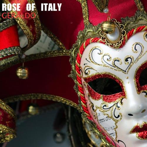 Rose of Italy