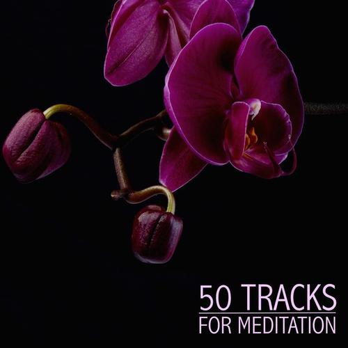 50 Tracks for Meditation - A Collection of the Most Relaxing Spa Music for Meditation, Sleep and Yoga