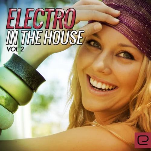 Electro In The House, Vol. 2