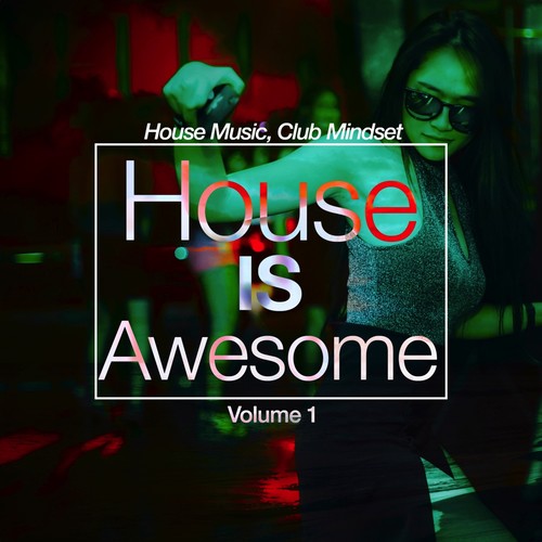 House Is Awesome, Vol. 1