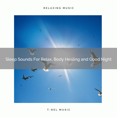 Sleep Sounds For Relax, Body Healing and Good Night