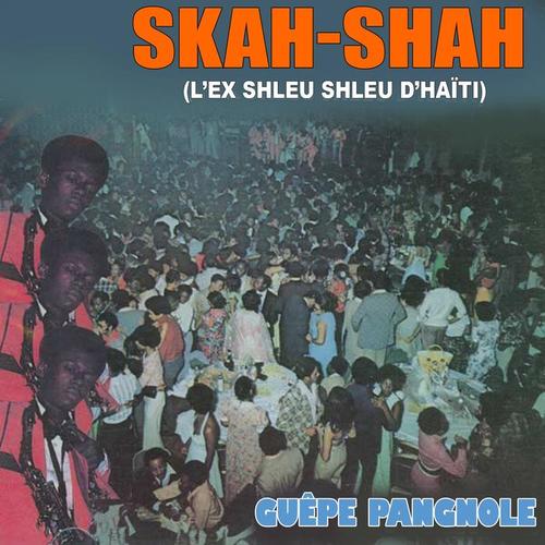 Guêpe pangnole (L'ex Shleu Shleu d'Haïti)