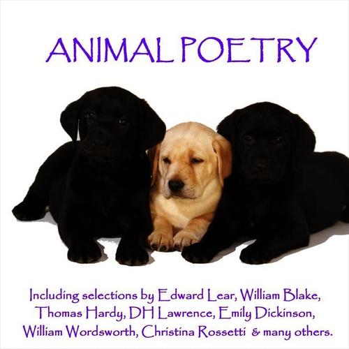 Animal Poems