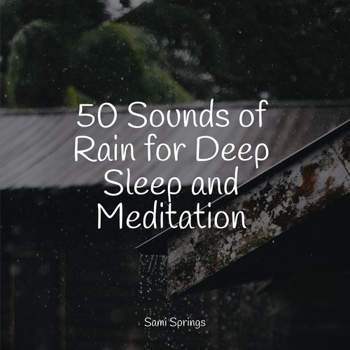 50 Sounds of Rain for Deep Sleep and Meditation