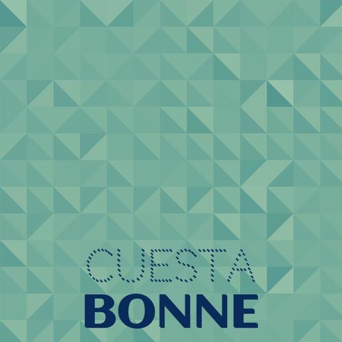 Cuesta Bonne