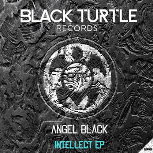 Intellect EP