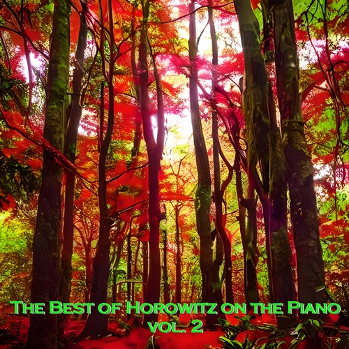 The Best of Horowitz on the Piano, vol. 2