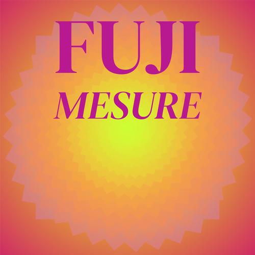 Fuji Mesure