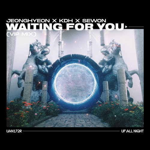 Waiting for You (VIP Mix)