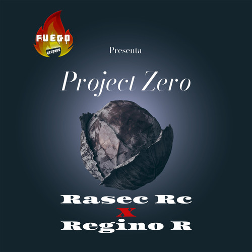 Project Zero