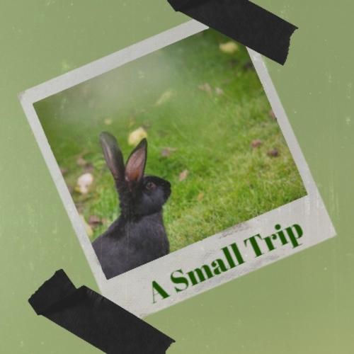 A Small Trip