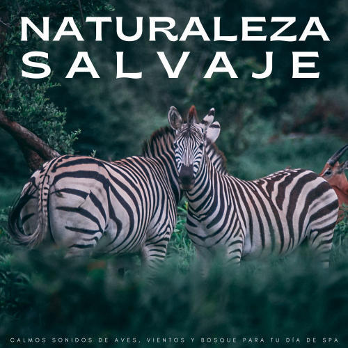 Naturaleza Salvaje: Calmos Sonidos De Aves, Vientos y Bosque Para Tu Día De Spa
