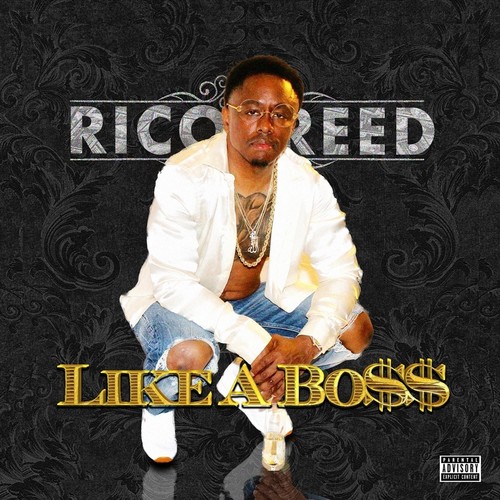 Like a Boss (Explicit)