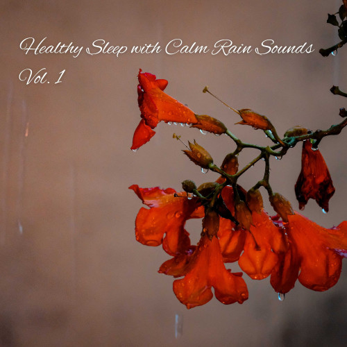 Healthy Sleep with Calm Rain Sounds Vol. 1