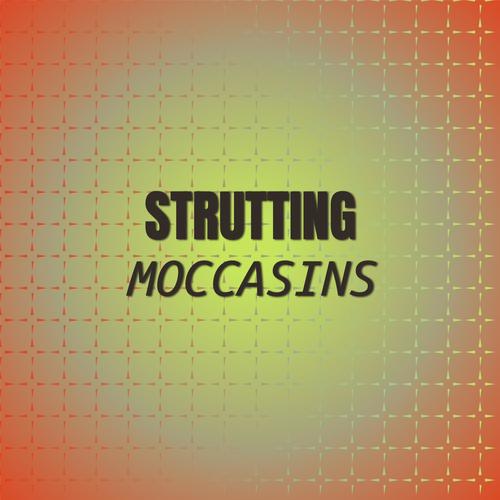 Strutting Moccasins