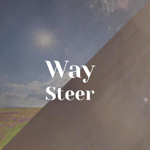 Way Steer