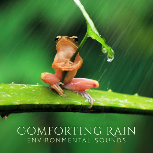 Comforting Rain (Environmental Sounds, Unwind with Nature, Blissful Downpour)