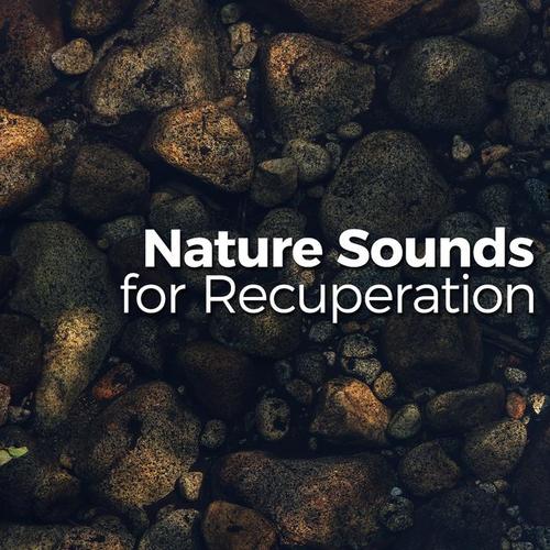 Nature Sounds for Recuperation