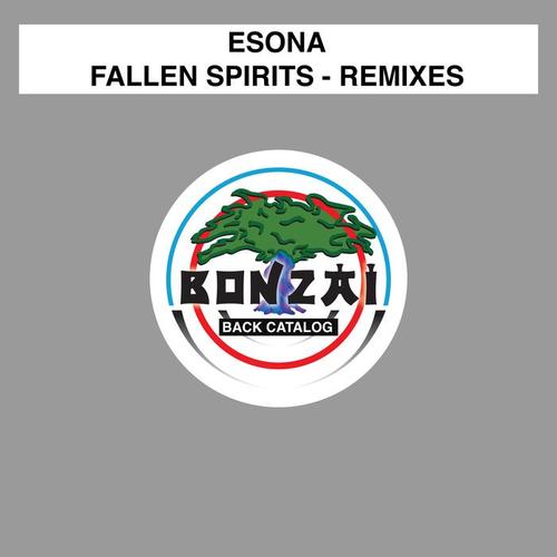 Fallen Spirits - Remixes