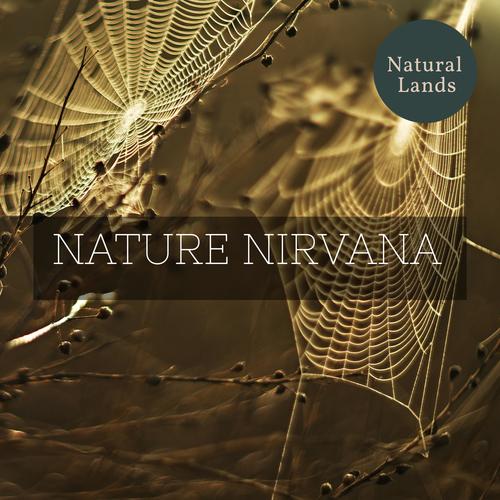 Nature Nirvana