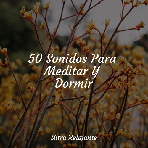 50 Sonidos Para Meditar Y Dormir