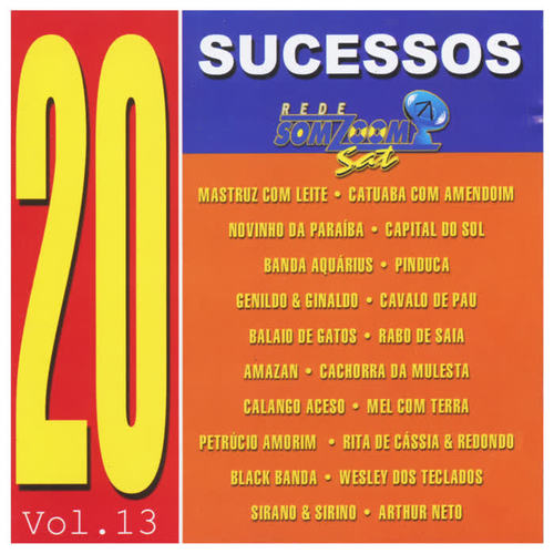 20 Sucessos Somzoom, Vol: XIII