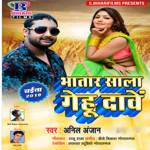 Bhatar Sala Gehu Dawe - Single