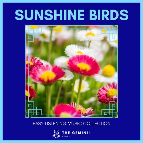 Sunshine Birds - Easy Listening Music Collection