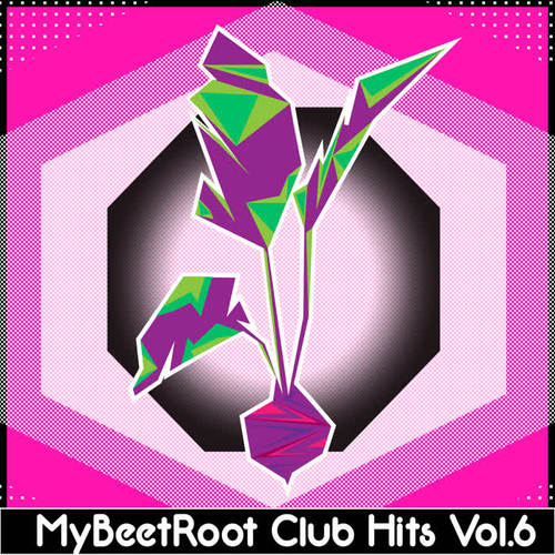 MyBeetRoots Club Hits, Vol. 6