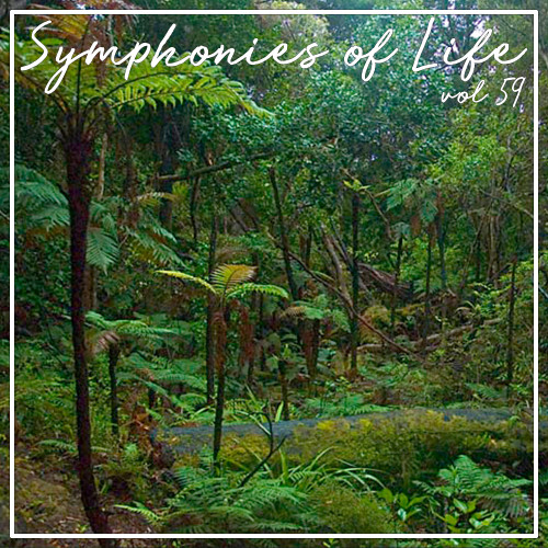 Symphonies of Life, Vol. 59 - Zemlinsky; The King Kandaules