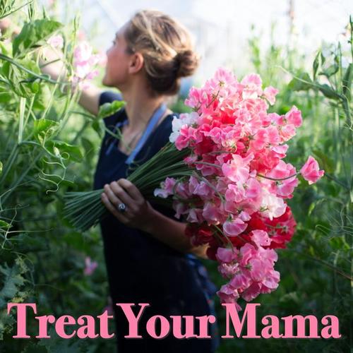 Treat Your Mama