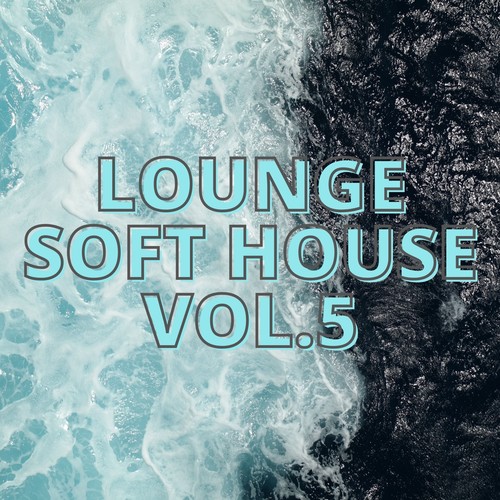 Lounge Soft House Vol.5