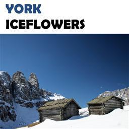 Iceflowers (The Mixes)