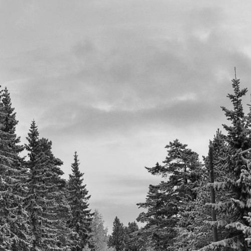 Snowscape