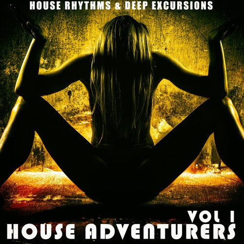 House Adventurers, Vol. 1