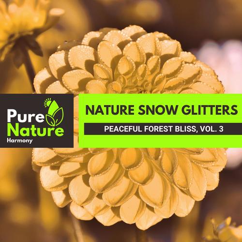 Nature Snow Glitters - Peaceful Forest Bliss, Vol. 3