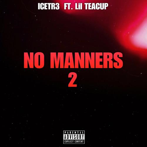 No Manners 2 (feat. Lil Teacup) [Explicit]