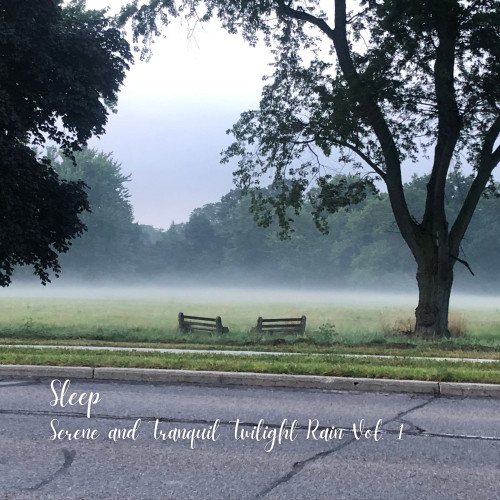 Sleep: Serene and Tranquil Twilight Rain Vol. 1