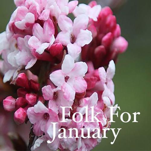 Folk For January