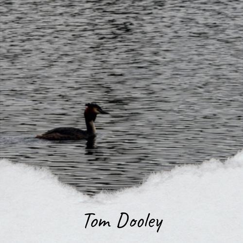 Tom Dooley