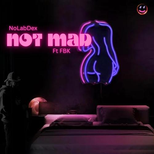 Not Mad (feat. FBK) [Explicit]