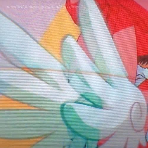Unedited Footage of Animal Sacrifices (demos) [Explicit]
