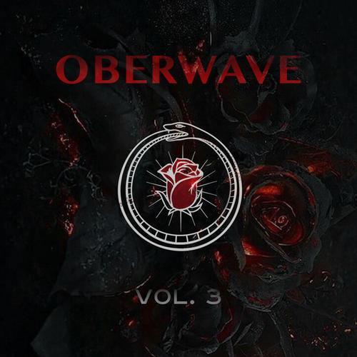 Oberwave Vol. 3 (Explicit)