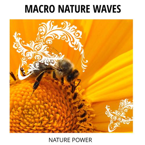 Macro Nature Waves - Nature Power